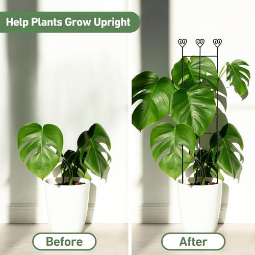 Image of 32in Large Indoor Plant Trellis for Climbing Plants, Expandable Metal Garden Trellis for Potted Plants, Tall Plant Supports for Ivy Pothos Hoya Monstera, 4p