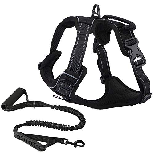 TrainPro No-Pull Dog Collar Harness and Leash Training Set for Easy Control! - Kinder to your Pet than Standard Collars! - Fully Adjustable with Comfort Padding! - Great for Small, Medium, Large Dogs!