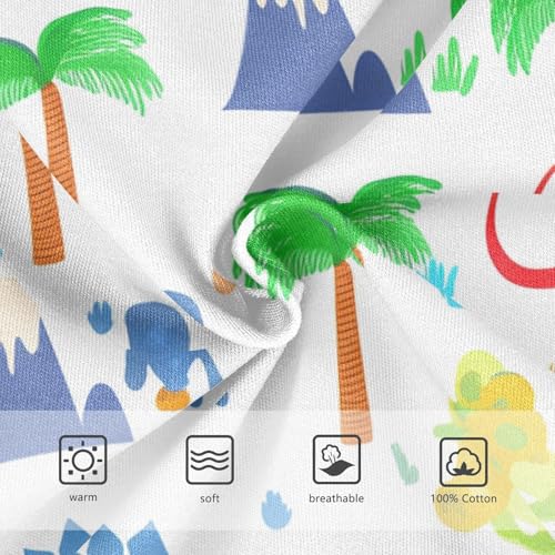 Cute Dinosaur Toddler Boy's Underwear 2T 202c11393