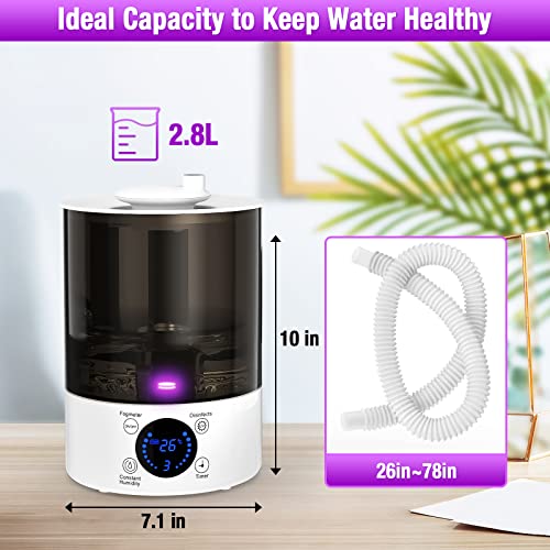 Reptile Fogger With U-V Light, Top Fill Reptile Humidifiers With Hose, 2.8L Capacity Fogger For Terrarium, Perfect Fogger For Reptiles, Amphibians, Herps Plants, Paludarium And Vivarium #TOP2