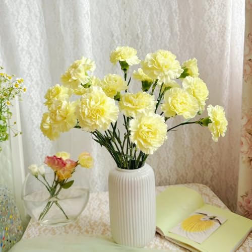 semi di garofano perenne, garofano dolce perenne resistente tappezzante di garofano resistenti per il giardino biologici per aiuola rare, decorazione 1000pcs