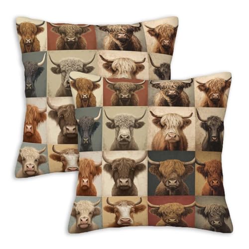 VronTaliy Highland Cow Throw Pillow Covers 18x...