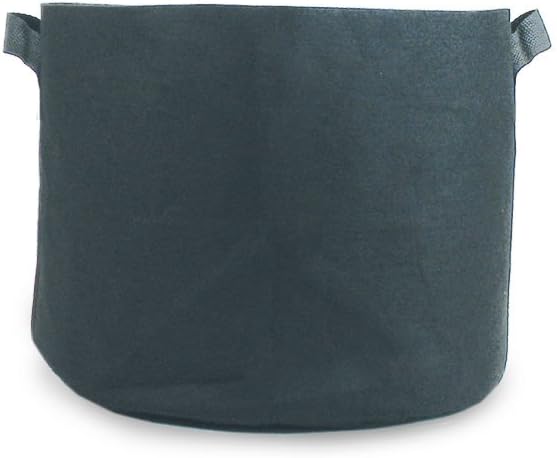 HTG Supply Phat Sacks 1-Gallon Indoor/Outdoor Black Fabric Grow Pot - 100-Pack