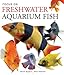 Focus on Freshwater Aquarium Fish