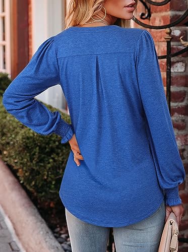 BETTE BOUTIK Long Sleeve Shirts for Women Fall Tops Dressy Blouses Pleated V Neck Tunic Tops for Leggings S-3XL
