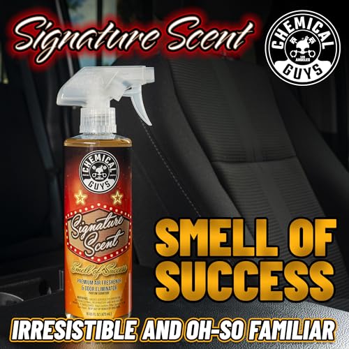 Image of Chemical Guys AIR 302 Black Frost Scent and Signature Scent Combo Pack, Great for Cars, Trucks, SUVs, RVs, Home, Office & More (2-16 Fl Oz Items)