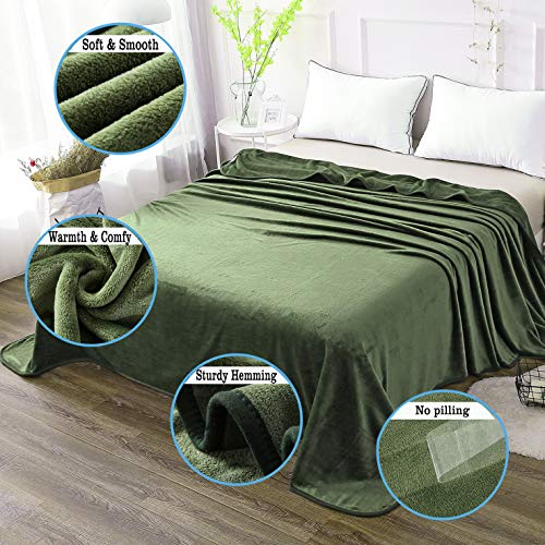 HOZY Baby/Adult Fleece Blanket, 230 x 270 cm, Soft and Warm, Microfiber Polyester, Bedspread, Sofa Throw, Velvet Effect - Image 2