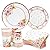 HOMIX Floral Paper Plates and Napkins Cups Sets Pink Flower Tea Party Supplies Disposable Dinnerware Sets Serves 24 for Bridal Shower, Birthdays