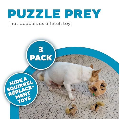 Image of Outward Hound Squeakin' Squirrels - 3‑Pack Plush Squeaky Dog Toys for Puppies, Small Dogs & Hide-A-Squirrel Replacements