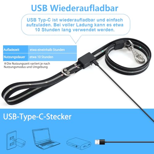 Aisuowa LED Hundeleine für Hunde, 12 Beleuchtungsmodi Reflektierend Leine Hund, 1,5 m, USB Aufladbar Leuchtend Wasserdicht Hundeleinen, Geeignet für Große, Mittelgroße und Kleine Haustiere Licht