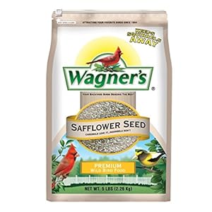 Wagner’s 57075 Safflower Seed Wild Bird Food, 5 Pound (Pack of 1)