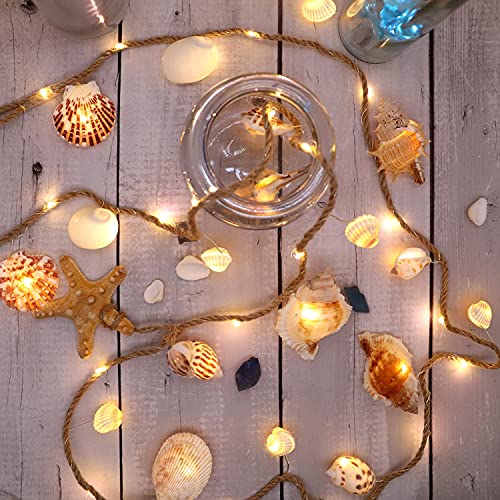 Seashell Garland Lights - Beach Decor for Bedroom, Coastal Room Decor with Remote & Timer 7.2FT 39LED Battery Operated Ocean Lights with Natural Conch