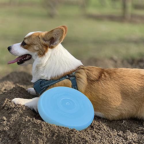 Wham-O Frisbee Classic Plastic Flying Disc For Kids And Pets, Lightweight Colorful Flying Durable Disc Set Toys For School, Game Prizes, Party Favors, Indoor & Outdoor Game (Green) #TOP4
