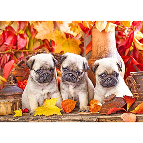 Alloyseed 5D Diamond Painting Kits Three Puppies, Pug Full Drill Art Pet DIY Rhinestone Embroidery Set Paint with Diamonds Art by Number Kits Cross Stitch Home Wall Craft Decoration 16x12inch