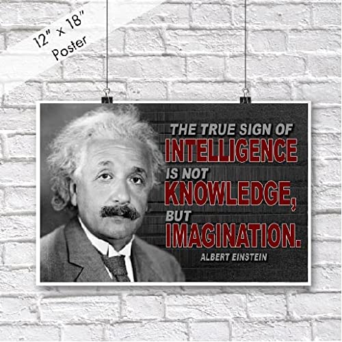 Vincit Veritas Albert Einstein Motivational Poster Quote Inspirational Quotes Classroom Posters Books Einsteins Documentary Genius Biology Universe E=mc Physics Energy Mass Theory Relativity P075 - Image 2