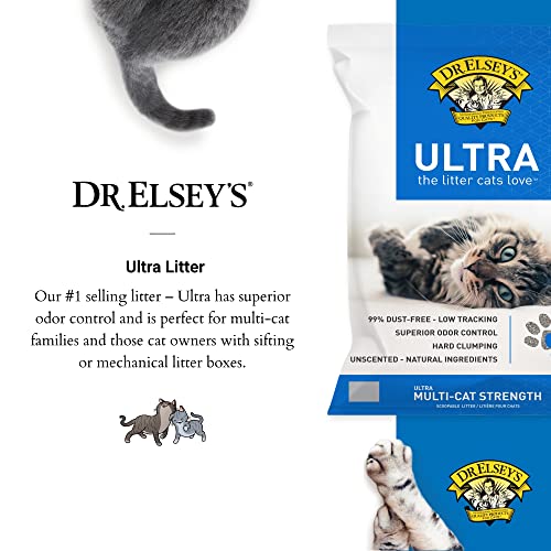 The 30 Best 40lbs Cat Litter of 2024 [Verified] Cherry Picks