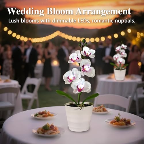 Image of Artificial White Phalaenopsis Orchid Flower Lamp, Flower Night Light for Bedroom Wedding Bar Coffee Shop Decor, Gifts for Women Mom Grandma Friend Birthday Christmas Valentines Mothers Day