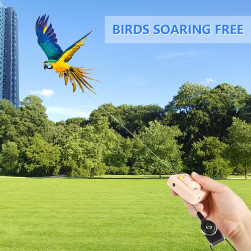 Image of Bird Leash, Elyssnova 2024 New Bird Harness, Retractable Parrot Leash, Used for Bird Flight Training, 0-20 Feet Freely Adjustable, Suitable for Various Birds