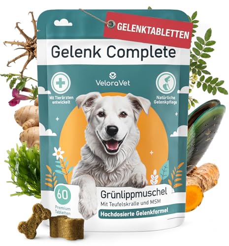 VeloraVet Grünlippmuschel Gelenktabletten Hund – HOCHDOSIERT mit Grünlippmuschelpulver, MSM, Teufelskralle, Glucosamin & Kollagen – Keine Kapseln, hohe Akzeptanz – Gelenk- & Knochenschutz – 60 Stück