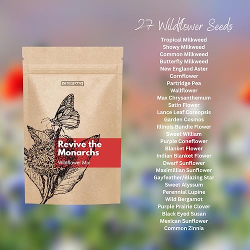12,000+ Seeds - Protect Monarch Butterflies Wildflower Mix - 27 Wild Flower Varieties - Pollinator - Perennial & Annual Flowers Milkweed, WallFlower, Zinnia - Planting Outdoors Spring, Fall - Image 4