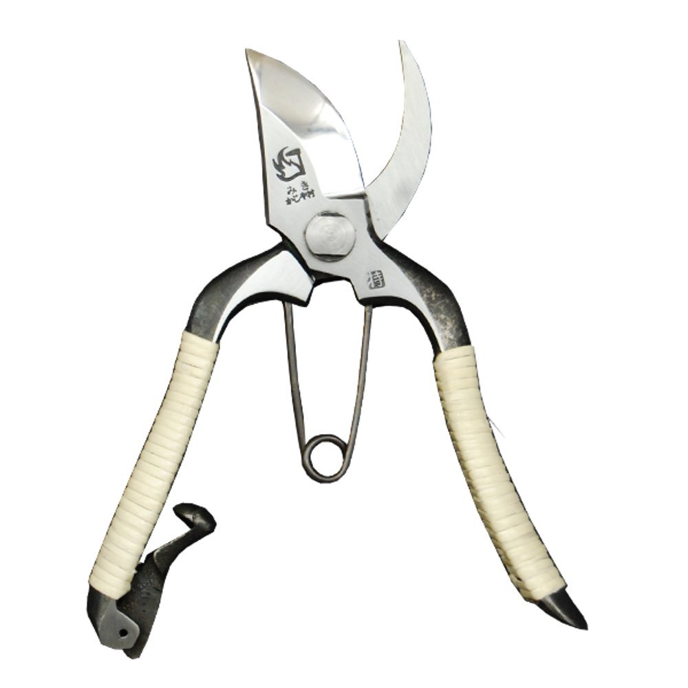 ひさみ 61UcZA0ehzL.jpg_BO30,255,255,