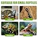 Whyzsjnclg Tortoise Water Dish, 2Pcs Tortoise Water Bowl, 4.5x3x0.6 Inch Realistic Tree Bark Texture for Reptile Animals