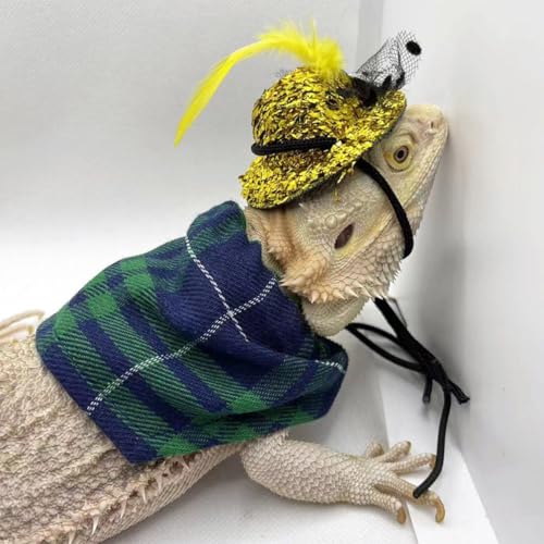 Chapéu de dragão barbudo e lenço bandana lagarto, roupas para animais de estimação, acessórios de fa