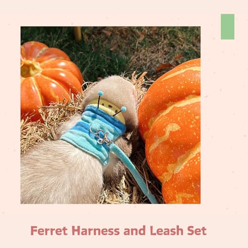 Image of Ferret Harness and Leash Set - Small Animal Soft Fleece Vest with Safe Bell Halloween Outfit Adjustable Traction Rope Outdoor Walking Training Leash for Ferret Rat Bearded Dragon Kitten (Blue)