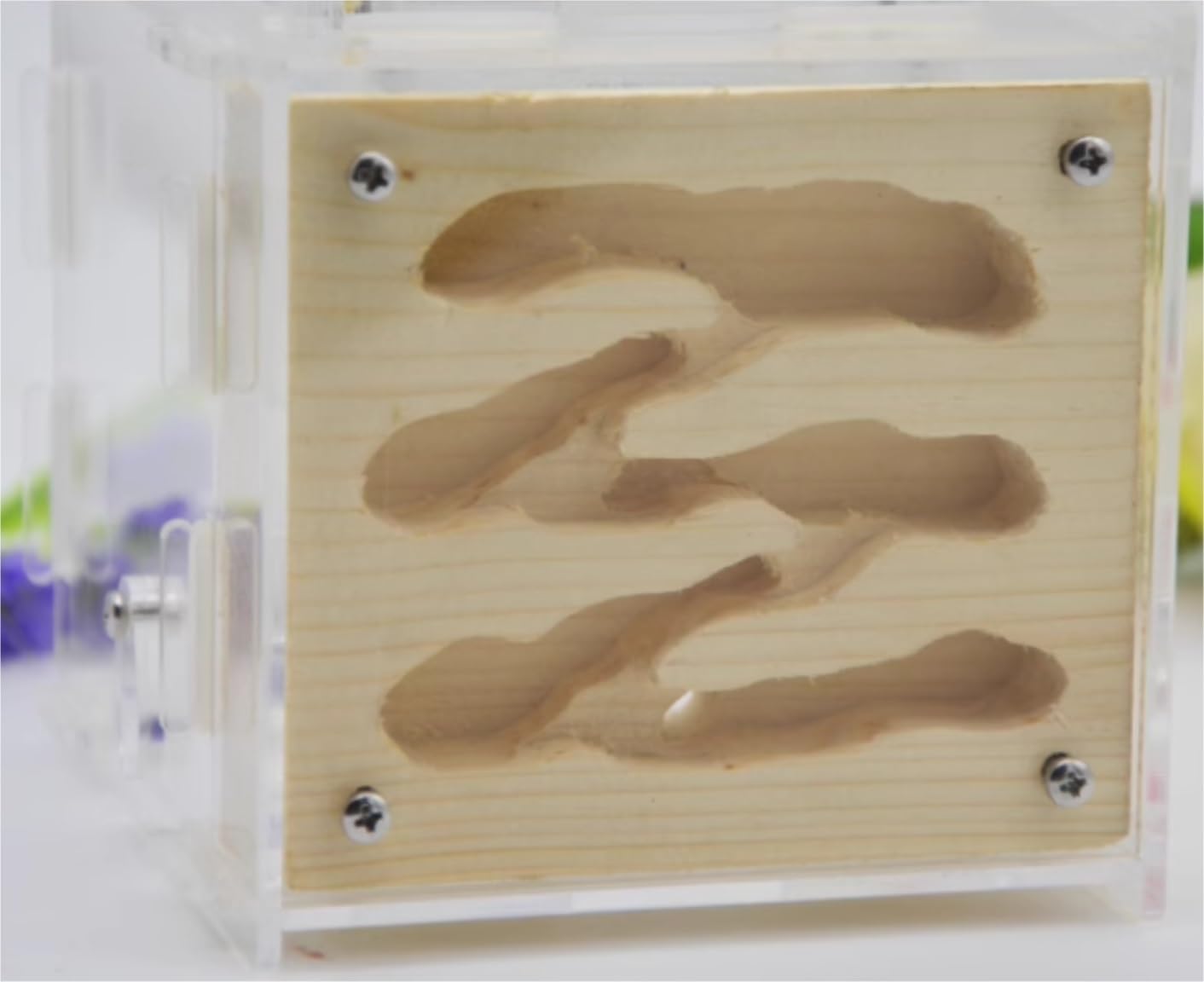 Acrylic and Wood Ant Castle