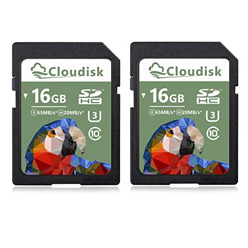 Cartes mémoire Flash UHS-1 16 Go lot de 2 extension stockage pour caméra et vidéo 1080p