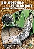 Die Moschusschildkröte: Sternotherus odoratus (Art für Art: Terraristik)