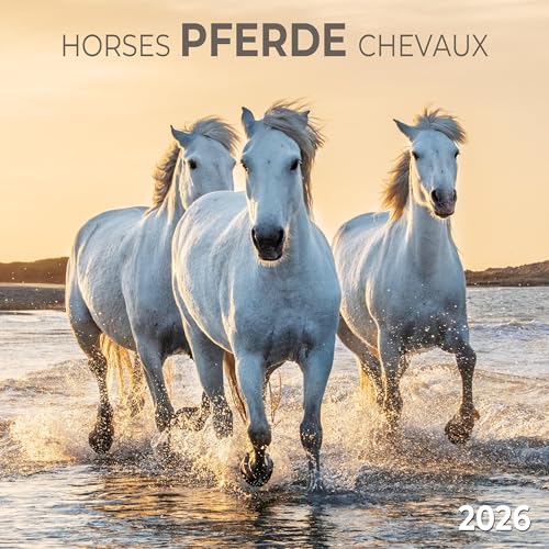 Pferde/Horses 2026: Kalender 2026 (Artwork Edition)