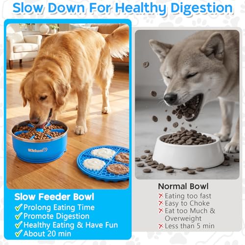 Puzzle maze feeder that spreads kibble for slower eating
