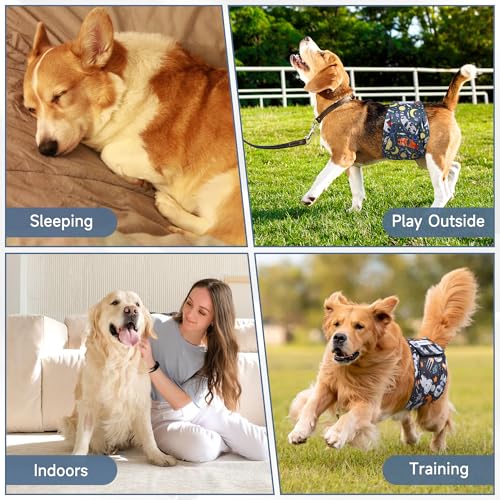 Image of 3 Pack Dog Diapers Male Reusable, High Absorbing Washable Dog Wraps, Male Dog Belly Band for Dogs with Incontinence or Frequent Urination(Large, Fox)
