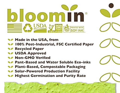 Bloomin Seed Paper Shapes Packs - Flower Shapes - 100 Shapes Per Pack - 2.8X2.5 {Color Mix} By Bloomin #TOP4