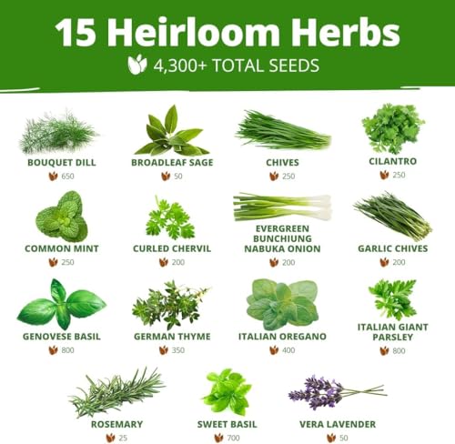 Image of HOME GROWN 70 Variety Vegetable & Herb Seeds 30,600+ USA Non-GMO Heirloom Survival Seeds Garden Kit for Spring, Fall, Winter Indoor & Outdoor Planting Starter Set for Home Gardeners & Preppers