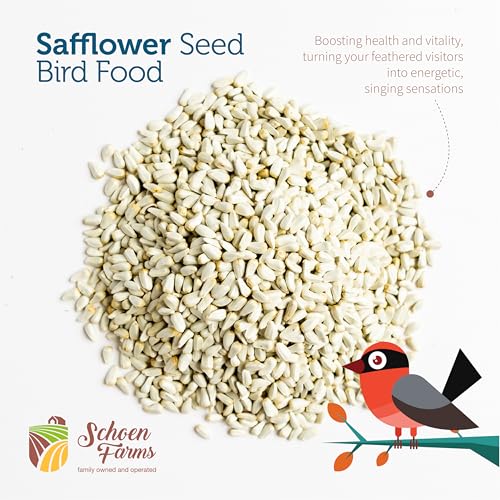 Schoen Farms Safflower Seeds Bird Food – 2.27 kg Bag – Natural Seed for Cardinals, Finches & Doves – Squirrel-Resistant, Canadian Grown - Image 4