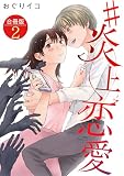 #炎上恋愛【合冊版】 2 (&nable)