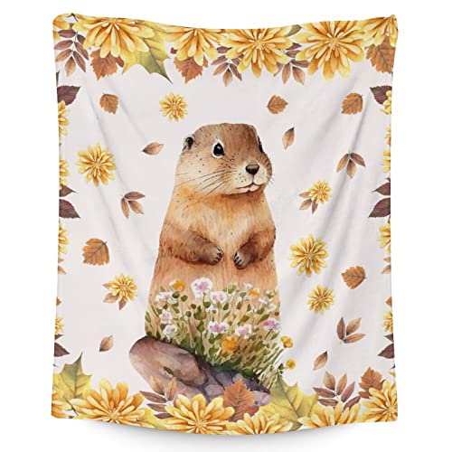 Groundhog Throw Blanket - Soft, Fuzzy & Warm - 50x60 Inches Flannel Blankets for Living Room, Sofa - Beige Cute Throws Gift for Teens