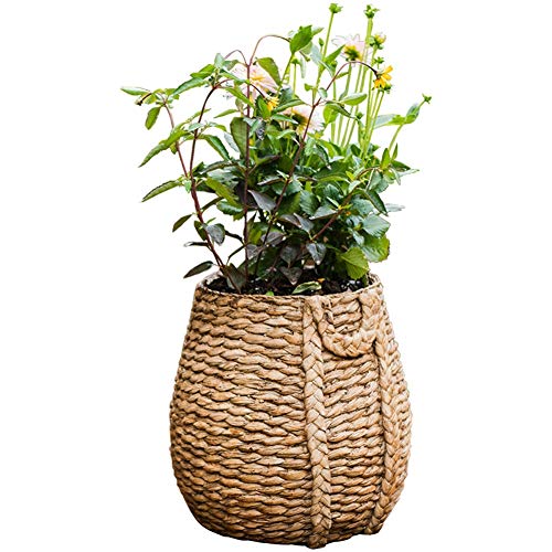 YANG-Gartenregal Blumenregal ，Pots de Fleurs, Imitation de Paille...