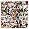 60PCS Funny Dog Stickers, Cute Chihuahua Meme Stickers for Journaling Laptop Scrapbook Water Bottles, Kawaii Animal Sticker Gift for Kids Adult Teens