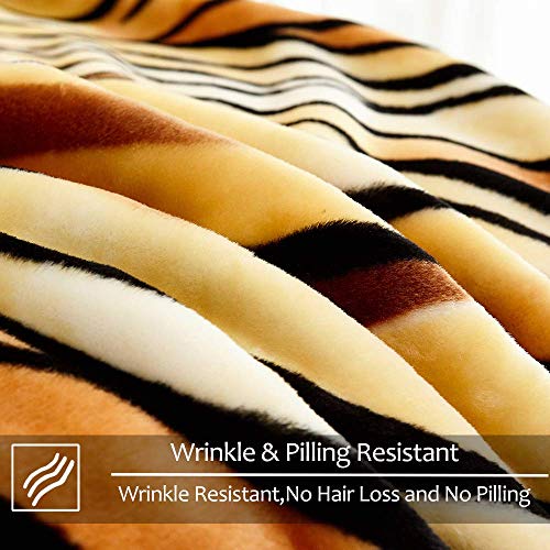 Image of JYK Faux Mink Fleece Blanket Queen, 520GSM, 75 inchx87 inch, Tiger & Tiger Stripes | 5 lbs, Korean Style Blanket, 2 Ply Reversible, A&B Print, Silky Plush Soft, Medium Thick & Warm for Fall Winter