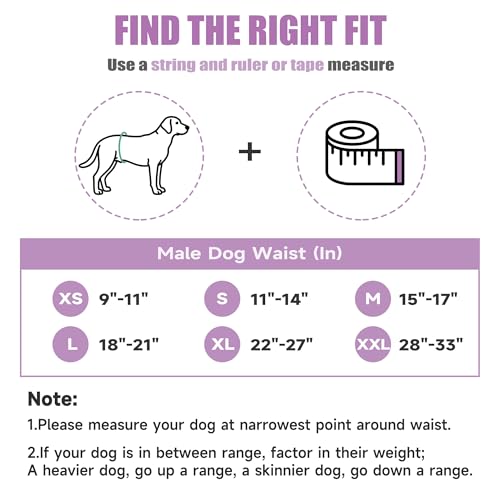 Image of wegreeco Washable Male Dog Belly Band (Stylish Pattern) - Pack of 3 - Dog Diapers Male - Washable Male Dog Belly Wrap (Interstellar, Large)