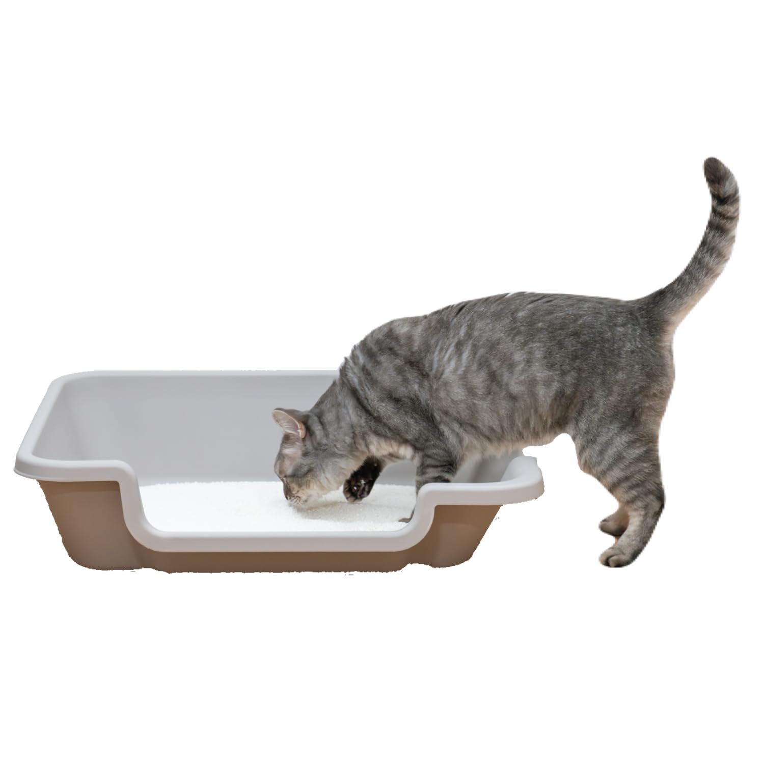 Amazon | 猫用トイレ 大型 シニア 介護 【足腰にやさしい広々設計
