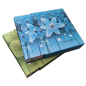 TOTOCAN 4X6 Photo Album Pack of 2, Each Picture Album Holds Up to 200 4×6 Photos, Total 400 Photos,Family – Travel…