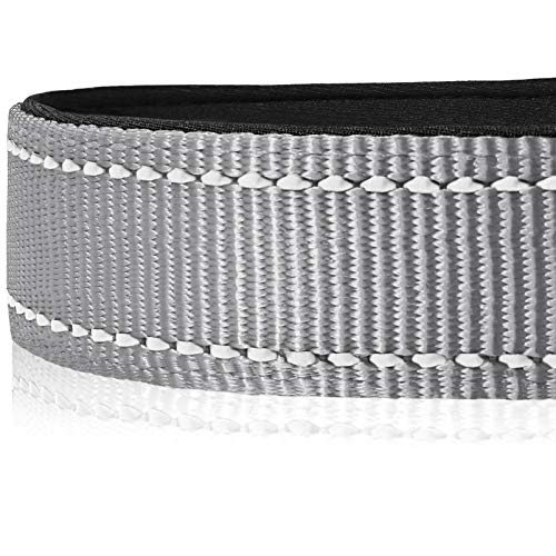 HEELE Hundehalsband, weich gepolstertes Neopren Nylon Hunde Halsband für kleine mittlere große Hunde und Welpen, verstellbare und reflektierende Halsband Hund für Training, Grau, S
