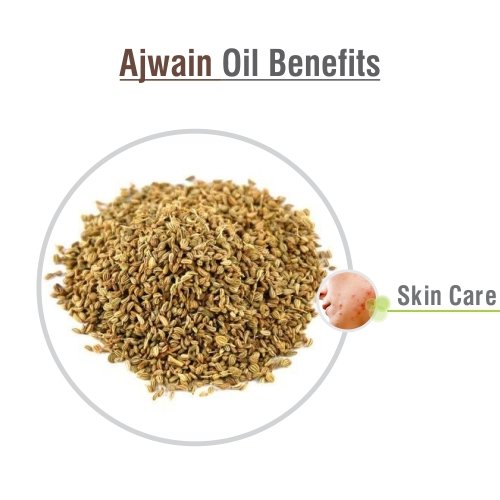 Image of Salvia Ajwain Oil (Trachyspermum ammi) Essential Oil for Aromatherapy & DIY Formulations - Strong Herbal Oil for Skincare, Haircare & Massage Blends - 50 ml / 1.69 fl oz