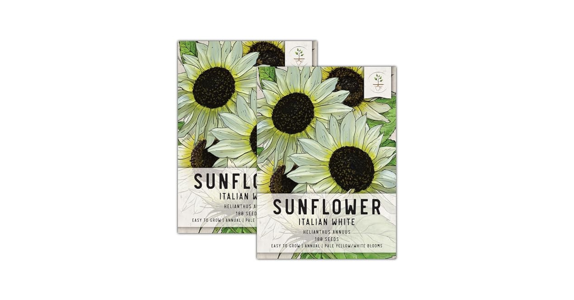 向日葵 G1654 A4236-2 Amazon.com : 40+ Seeds Colorful Sunflower and Multi-Head