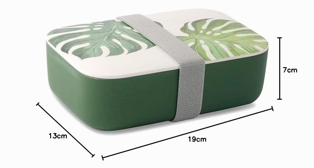 BIOZOYG 24x PLA fiambrera caja decorativa, contenedor biodegradable para llevar, jardín de infantes 18,8x12,5x6,3cm