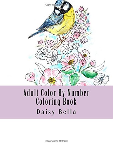 Amazon.com: Adult Color By Number Coloring Book: Jumbo Giant Super Mega ...